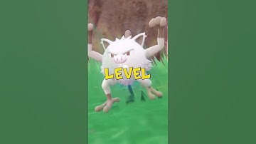 DE BESTE POKEMON VOOR SOLO TERA-RAIDS in Scarlet en Violet