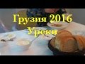 Грузия2016  Уреки