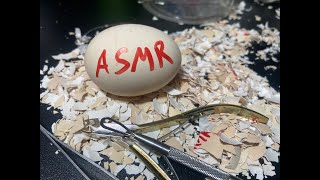 RAW EGG PEELING LIVE