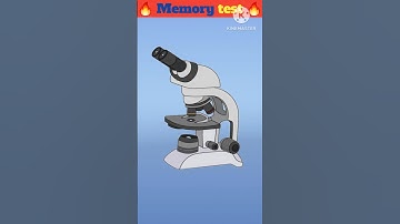 Memory test || Daily quiz || Ravi challenge master || #shorts #ytshorts #youtubeshorts #viral #quiz