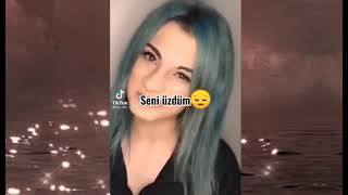 Armyleri̇n Yaptiği Ti̇ktok Di̇ss Vi̇deolari