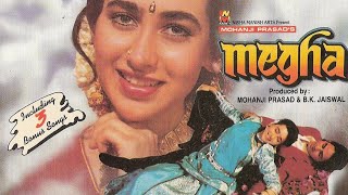 Baja Ke Bansi Luta Dil - Megha 1996 || Nitin Mukesh & Lata Mangeshkar ||