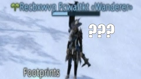 FFXIV bot does not compute