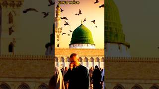 Makkah Madinah Ziyarat | #IslamicShort #MakkahMadinah #Ziyarat #AllahHuAllahHu #KabootarKaaba