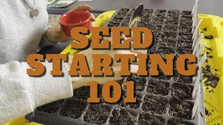 Seed starting for beginners A to Z- Turning our church project into our new homestead Church to home by TangoRomeo 87 134 views 1 year ago 28 minutes