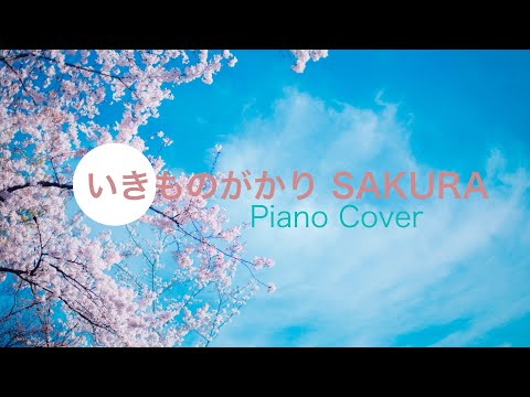 【ピアノSolo】SAKURA /いきものがかり/Piano Cover