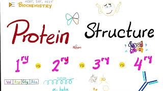 Protein Structure (Primary, Secondary, Tertiary, and Quaternary) | Biochemistry