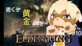 【ELDEN RING】褪わんこ ~黄金の地編~【新人Vtuber】#10