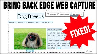 how to enable the web select feature in microsoft edge