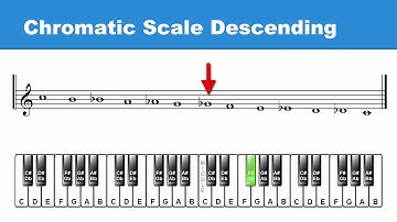 Lesson 8: Half-Steps & the Chromatic Scale