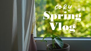 Spring Surprises: Unexpected Snow, a Busy Beaver, Nature Drawings | Cozy Silent Vlog