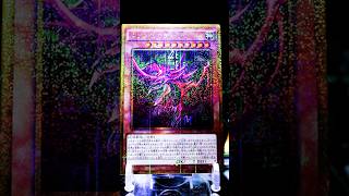 遊戯王コレクション】オシリスの天空竜/Slifer the Sky Dragon