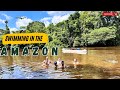 Swim in Amazon river, looking for piranha, caiman, tarantula | Indian in Amazon VLOG - EP3