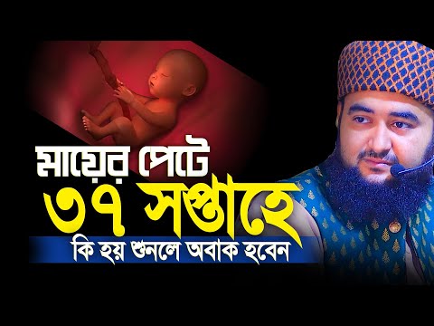 ভিডিও: গর্ভাবস্থায় সার্ভিকাল খাল থেকে একটি স্মিয়ার: গ্রহণের ক্রম, প্রস্তুতি, ব্যাখ্যা, মান সূচক