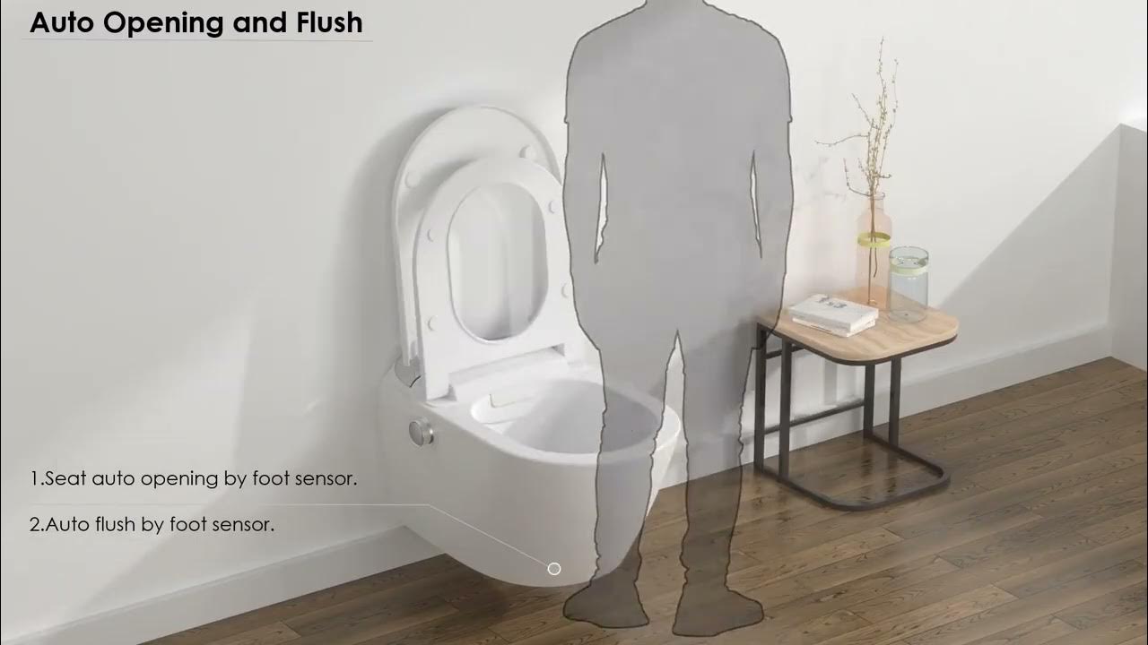 Intelligent toilet bidet with rimless ceramic EN1717 bidet in Europe