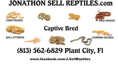 Update on 2013 pickups & hold backs