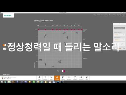 고주파수 영역에 청력손실이 있을 때와 저주파수 영역에 청력손실이 있을 때 말소리의 차이