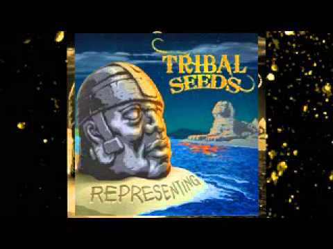 tribal seeds soundwaves