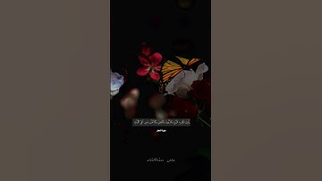 سورة النحل 🖤✨ #خالد_الجليل #القرآن_الكريم #quran #قرآن #قران_كريم #ارح_قلبك