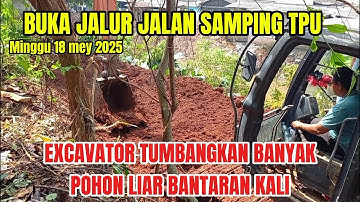 LAGI!! Excavator Babat Habis Pohon Liar Di Bantaran Kali Srengseng #dedimulyadi #normalisasi