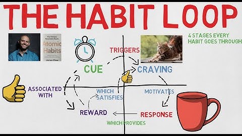 4 stages of The Habit Loop.