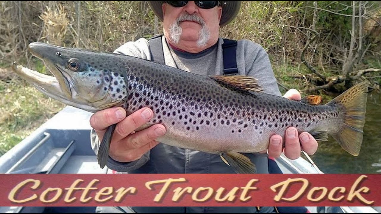 April 6, 2022 Arkansas White River Trout Fishing Report 