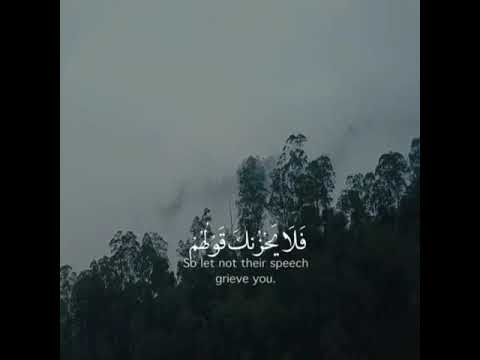 راحه نفسيه حالات واتس اب قران آيات قرآنيه قصيره ستوريات قران انستا   بدون حقوق