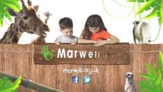 Marwell Zoo - So much to see and do - Summer TV ad