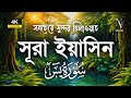 সবচেয়ে সুন্দর তিলাওয়াত সূরা ইয়াসিন | The Most Beautiful Recitation Of Surah Yaseen | Alaa Aqel