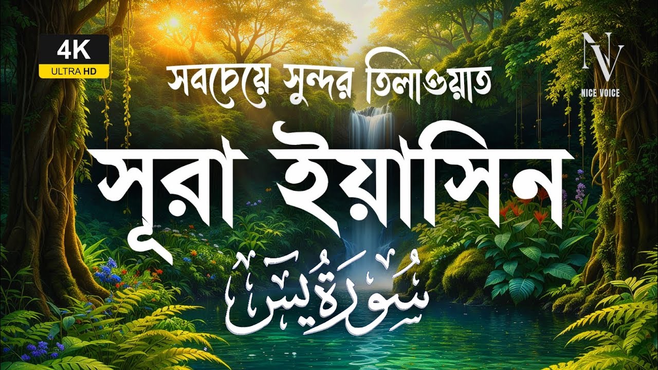 সবচেয়ে সুন্দর তিলাওয়াত সূরা ইয়াসিন | The Most Beautiful Recitation Of Surah Yaseen | Alaa Aqel
