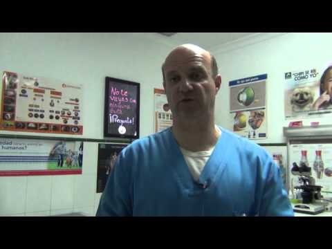 Video: Vestibulitis en perros