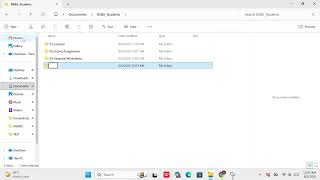 File Organization Challenge