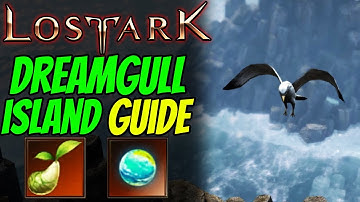 LOST ARK - DREAMGULL ISLAND TOKEN Guide
