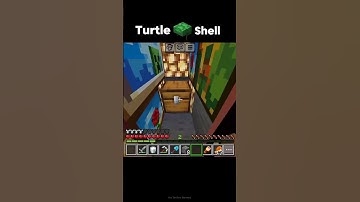 Minecraft Turtle Shell in power