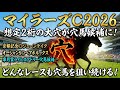 【マイラーズC2026】穴馬候補発表！〇〇の馬が意外にも優秀！？穴馬候補には超大穴も残った！