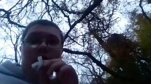 Immortal Kombat Eats A Decaf Teabag for 2 Minutes Straight