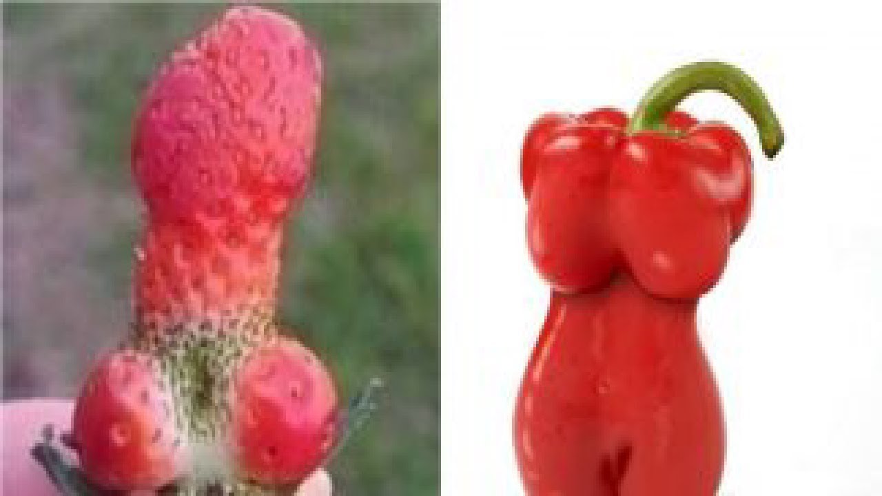 top 5 odd shaped looking fruits & vegetables you ever seen that