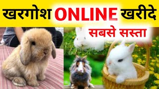 Pets Online Shopping In India | Pets Online Shoping App | Rabbit For Sale | Dog By Online screenshot 1