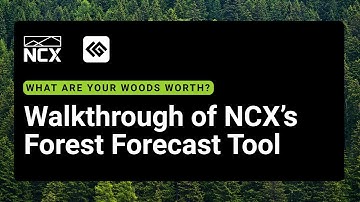 How to Find You Forest