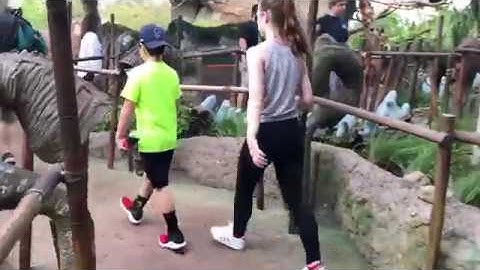 AVATAR FLIGHT OF PASSAGE Queue Line : Coolest Queue Line Ever! Animal Kingdom Walt Disney World 2018