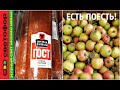 🚦СВЕТОФОР 💥 ПРОДУКТОВЫЕ НОВИНКИ по НИЗКИМ ЦЕНАМ 💯 ЕСТЬ ПОЕСТЬ‼️