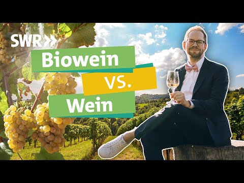 Video: Was ist der beste Bio-Wein?