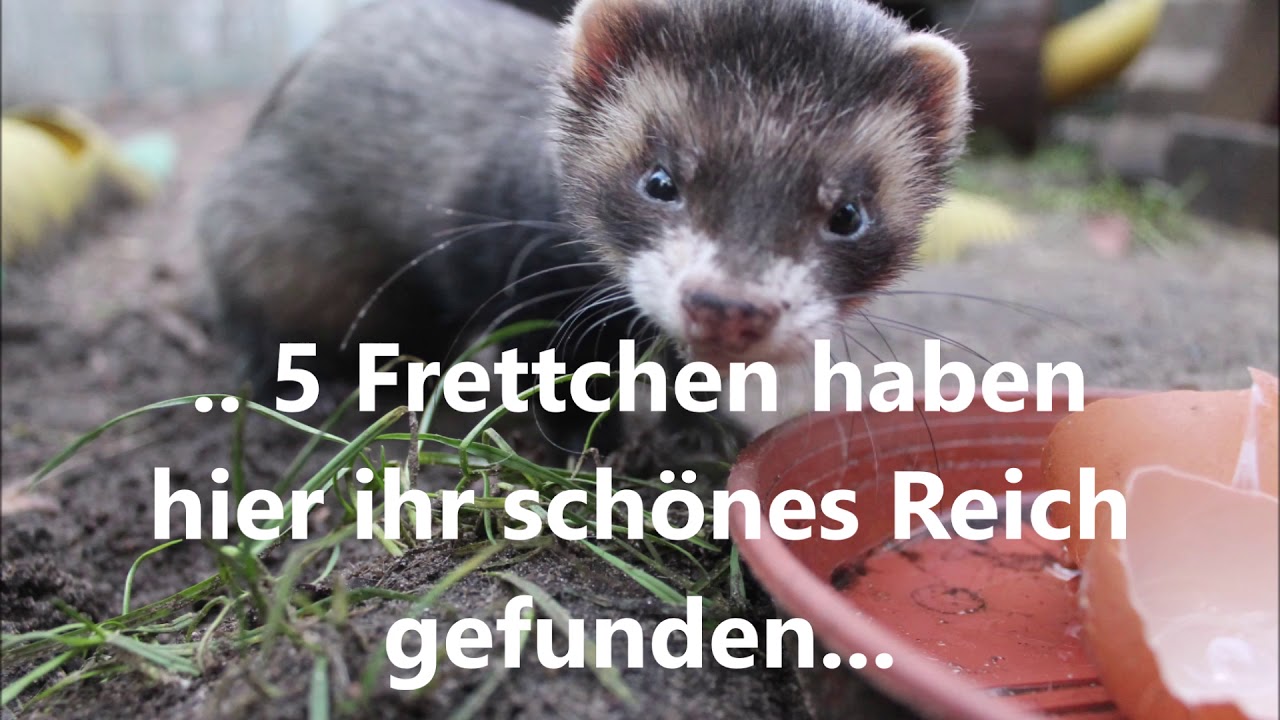 Willkommen in der Chaos WG