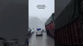 First snowfall in Kashmir SONAMARG ❤️ #sonamarg #kashmir #virel