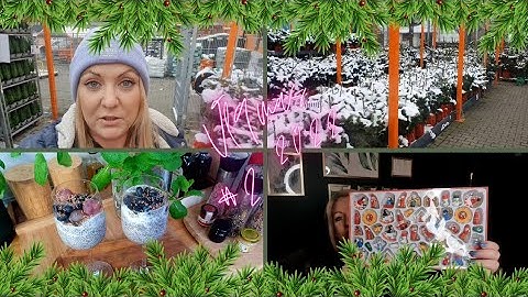 Vlogmas #2 - Chia na śniadanie / Jedziemy po choinkę / Haul ozdób świątecznych 🎄