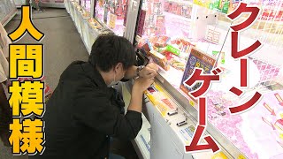 【悲喜こもごも】“世界最大級”423台　クレーンゲームの人間模様【大阪･堺市】