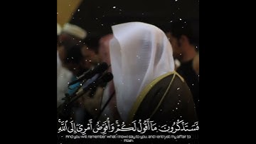#ارح سمعك تلاوه هادئه #ياسر_الدوسري