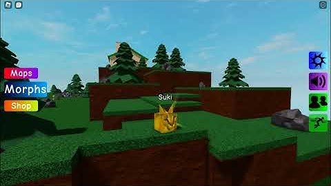 how to find round floppa in roblox (the game name is Find the floppa morphs 315)