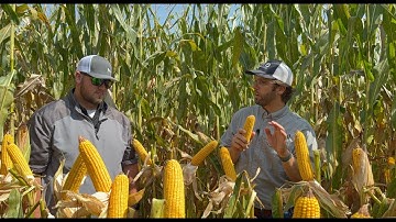 Sept 12, 2025: Harvest 2025 is coming quick!