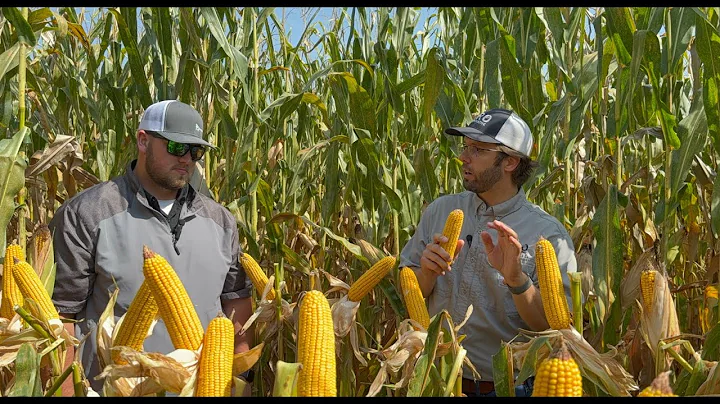 Sept 12, 2025: Harvest 2025 is coming quick!